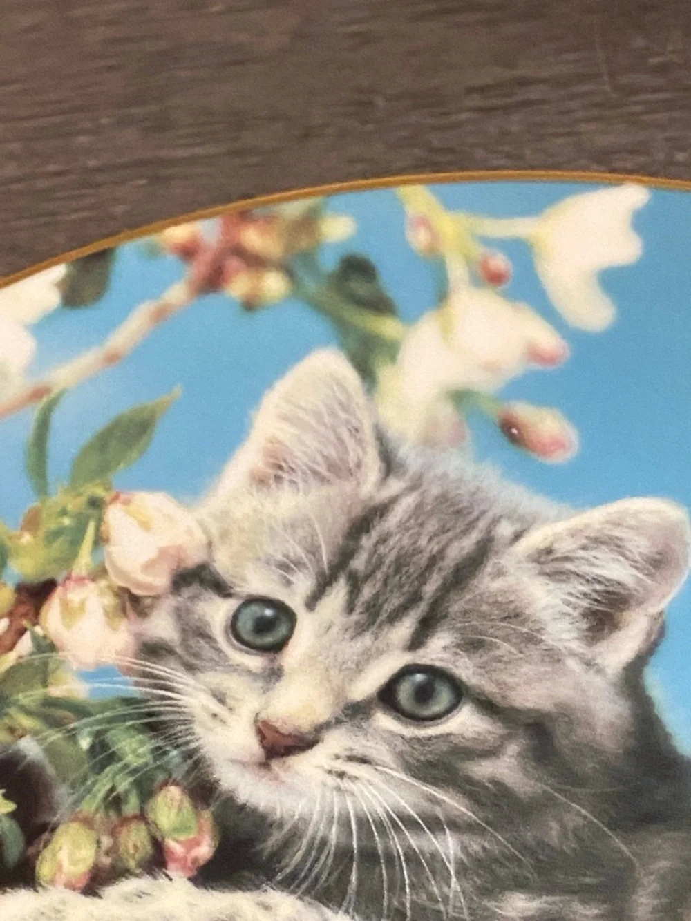 Gray Tabby Kitten Decorative Wall Plate